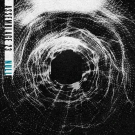 Виниловая пластинка Assemblage 23 - Null [New Vinyl LP] Ltd Ed