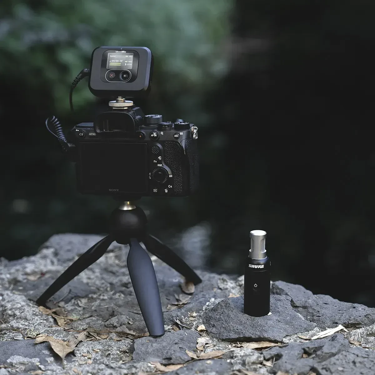 Изображение №10