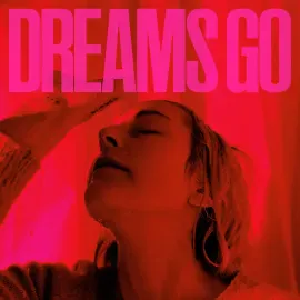 Виниловая пластинка Polica – Dreams Go Релиз 2025