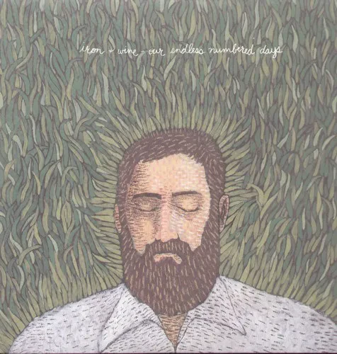 Виниловая пластинка Iron & Wine – Our Endless Numbered Days 2004