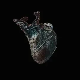 Виниловая пластинка Seamus Blake - Guardians Of The Heart Machine [New Vinyl LP]