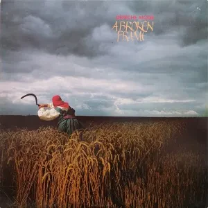Виниловая пластинка Depeche Mode – A Broken Frame