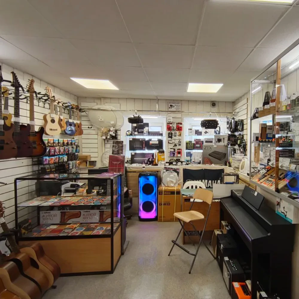 SKIFMUSIC — музыкальный магазин в Коломне