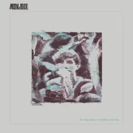 Виниловая пластинка MIDLAKE – For The Sake Of Bethel Woods
