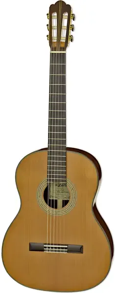 Классическая гитара Aria C205