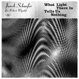 Виниловая пластинка Janek Schaefer – What Light There Is Tells Us Nothing 2018 Sealed