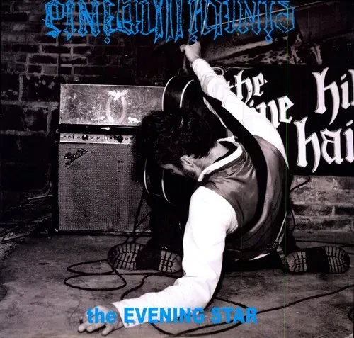 Виниловая пластинка The Pine Hill Haints – The Evening Star 2011