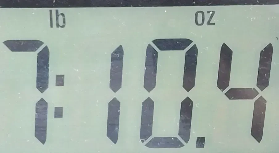 Изображение №9