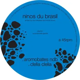 Виниловая пластинка Ninos Du Brazil - Aromobates NBD [New 12" Vinyl] Digital Download
