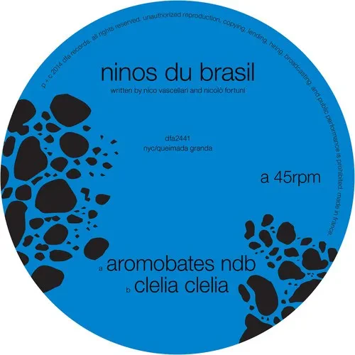 Виниловая пластинка Ninos Du Brazil - Aromobates NBD [New 12" Vinyl] Digital Download