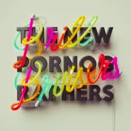 Виниловая пластинка The New Pornographers – Brill Bruisers 2014 Sealed