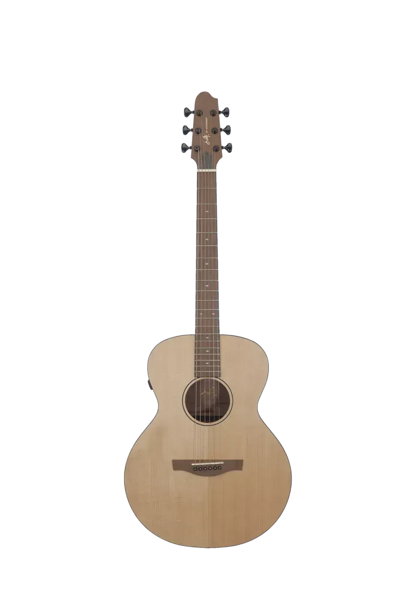 Трансакустическая гитара Covenant 170RTE с чехлом