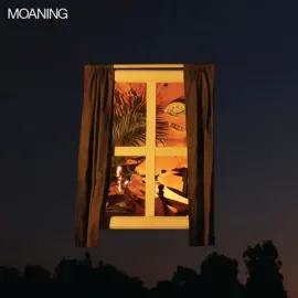 Виниловая пластинка The Moaning – Moaning (Релиз 2018) Sealed