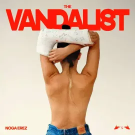 Виниловая пластинка Noga Erez – The Vandalist Black Ice 2024