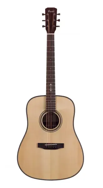 Акустическая гитара Prima DSAG215