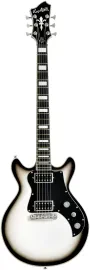 HAGSTROM Megin -102 E-Gitarre grey burst