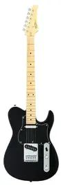 Электрогитара FGN Boundary Iliad BIL2M BK Black