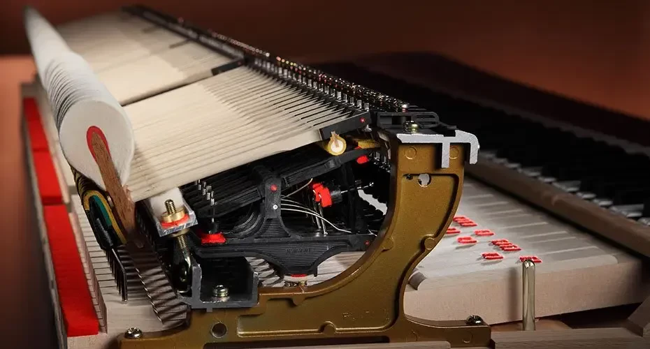 Изображение №6