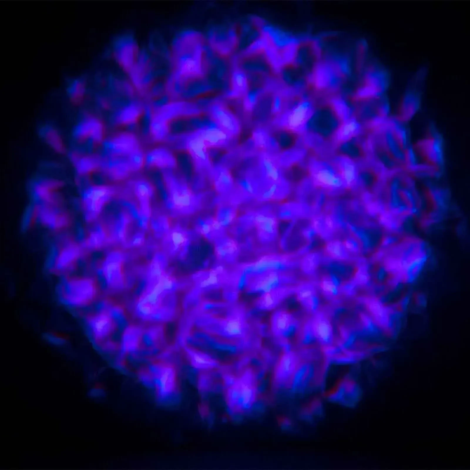 Изображение №11