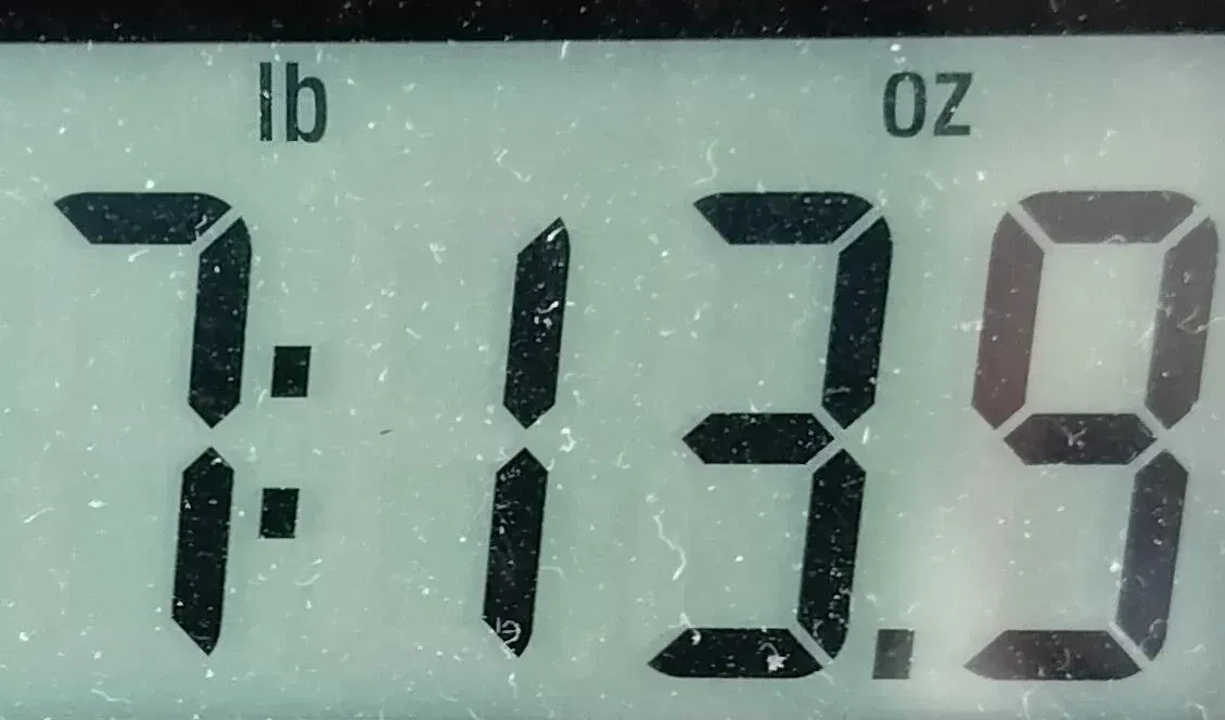 Изображение №11