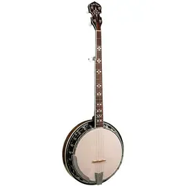 Банджо Gold Tone BG-150F Bluegrass Banjo
