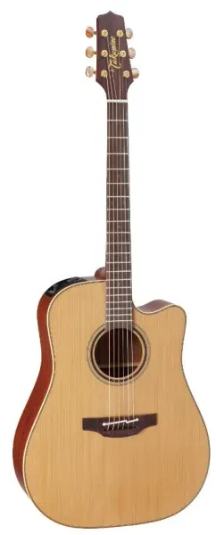 TAKAMINE P3DC Pro Dreadnought (Japan) E/A