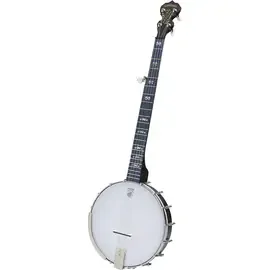 Банджо Deering Artisan Goodtime 5-String Openback Banjo