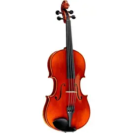 Скрипка Ren Wei Shi Academy II Series Violin Outfit 4/4