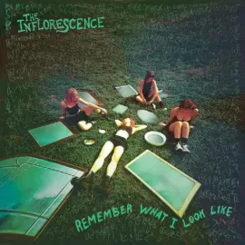 Виниловая пластинка The Inflorescence – Remember What I Look Like 2022