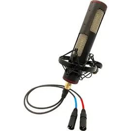 Инструментальный микрофон Stager Microphones Stereo SR-2N (подобранная пара)