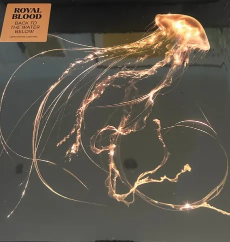 Виниловая пластинка Royal Blood – Back To The Water Below