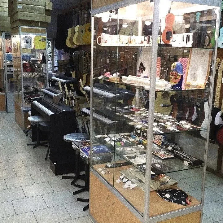 SKIFMUSIC — музыкальный магазин в Королеве