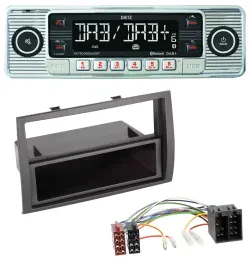 Dietz Bluetooth MP3 DAB USB Autoradio für Citroen Jumper Peugeot Boxer Fiat Duca