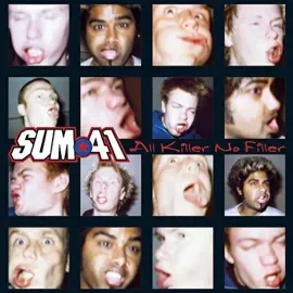 Виниловая пластинка Sum 41 - All Killer No Filler NEW Vinyl