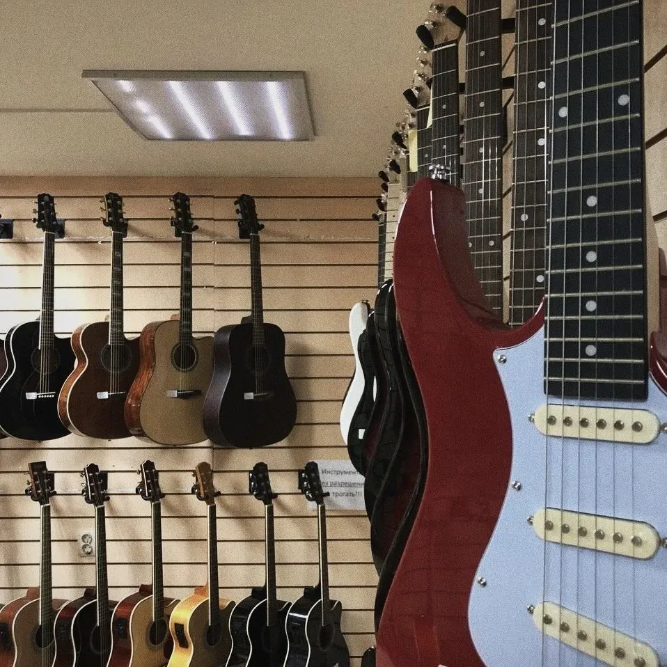 SKIFMUSIC — музыкальный магазин в Сергиевом Посаде