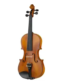 Скрипка Foix FVP-04B-1/2 с футляром и смычком