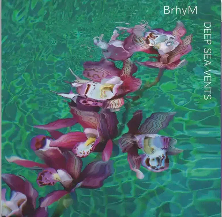 Виниловая пластинка Brhym – Deep Sea Vents Релиз 2024