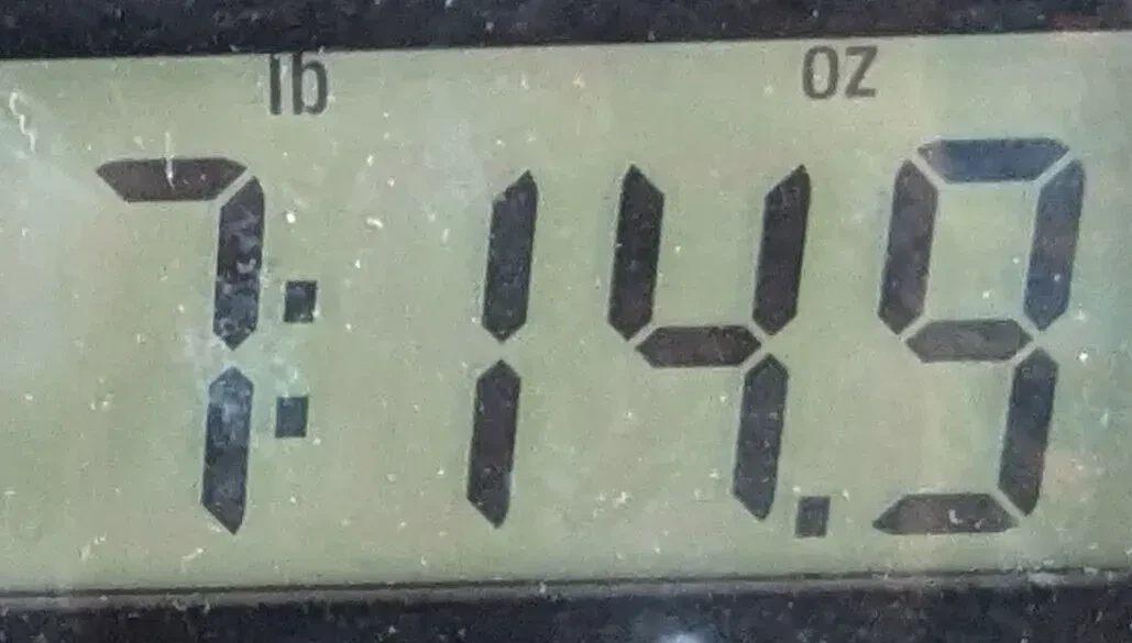 Изображение №2