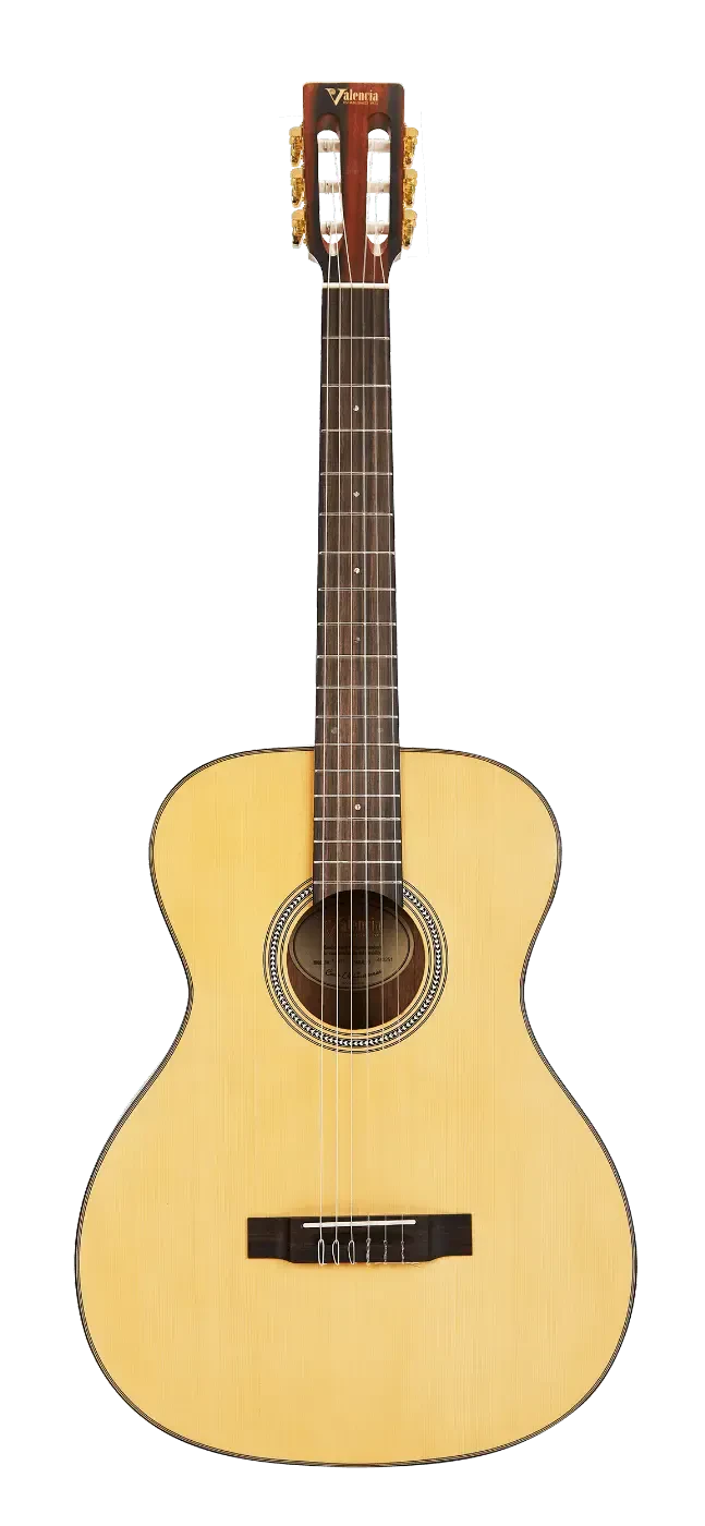 Классическая гитара Valencia VA434