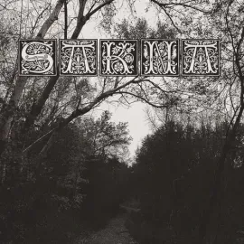 Виниловая пластинка Sakna - De Syv Dodssynder [New Vinyl LP]