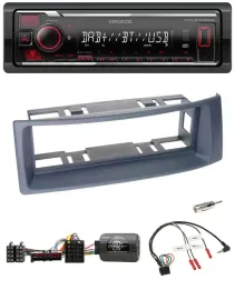 Kenwood Lenkrad Bluetooth USB DAB Autoradio für Renault Scenic Megane 1996-2000