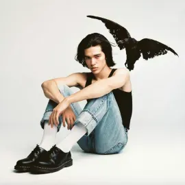 Виниловая пластинка Conan Gray - Kid Krow [Smoke Colored Vinyl] NEW Sealed Vinyl LP Album