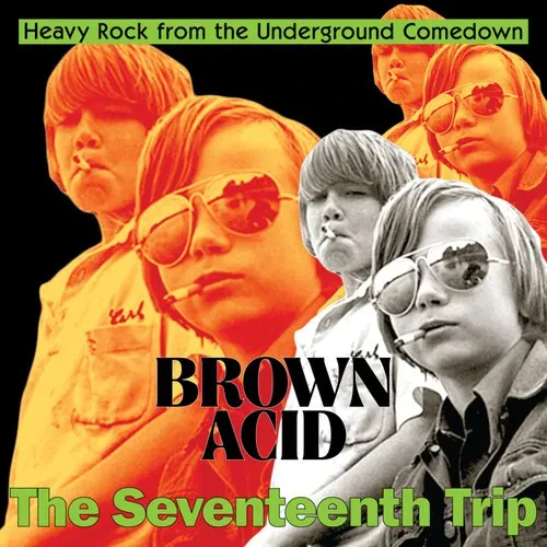 Виниловая пластинка Various Artists - Brown Acid - The Seventeenth Trip (Various Artists) [New Vinyl