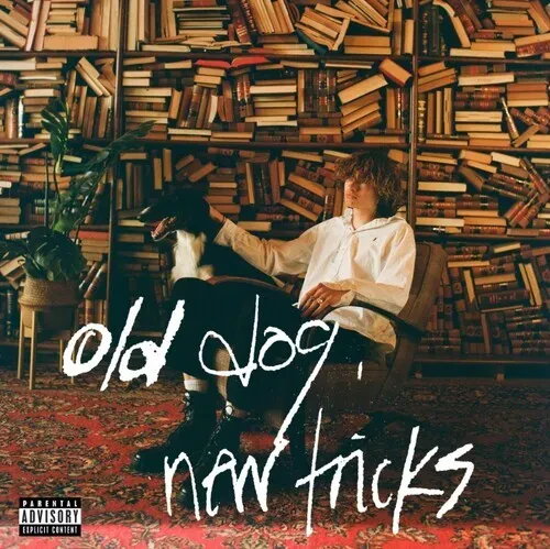 Виниловая пластинка glaive - Old Dog, New Tricks [New Vinyl LP] Explicit