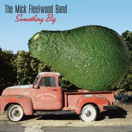 THE MICK FLEETWOOD BAND - Something Big (CD)
