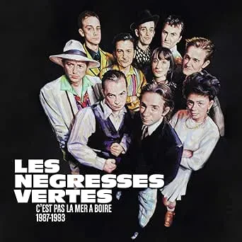 LES NEGRESSES VERTES - Cest Pas La Mer A Boire 1987-1993 (CD)