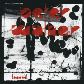 CD-диск Peter Walker – Landed