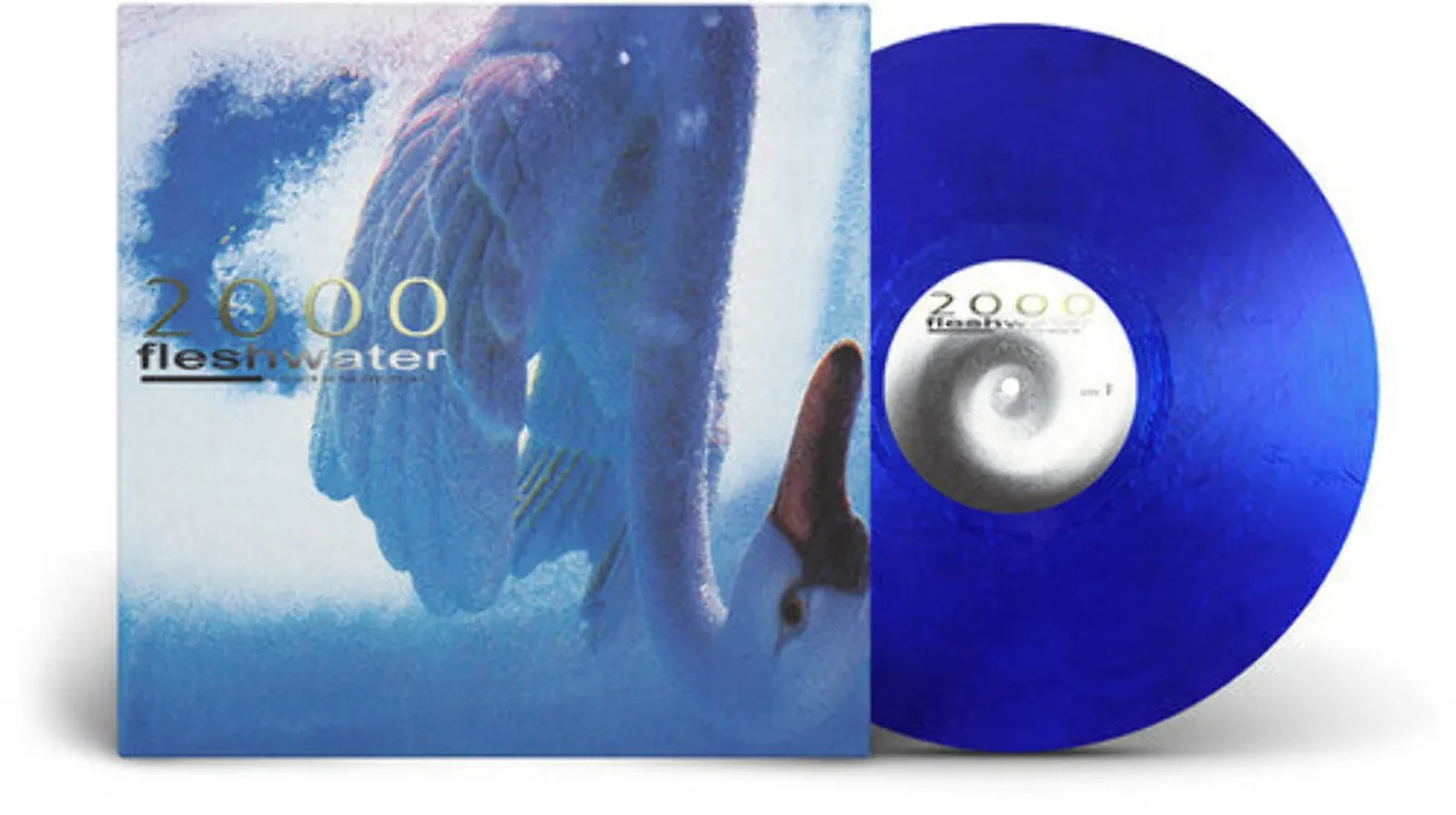 Виниловая пластинка Fleshwater – 2000: In Search Of The Endless Sky Релиз 2025