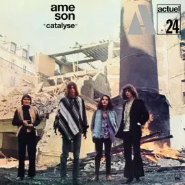 Виниловая пластинка Ame Son - Catalyse [New Vinyl LP]