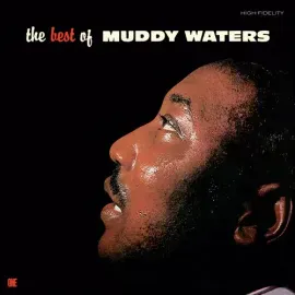 Виниловая пластинка Muddy Waters – Best Of Muddy Waters (Релиз 2025)